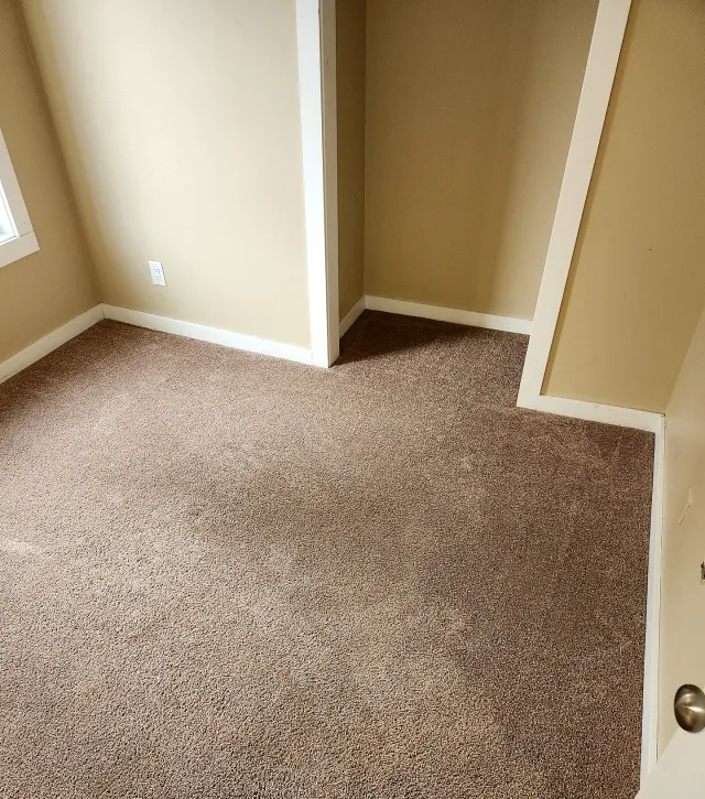 The same bedroom carpet after cleaning, even colour and texture