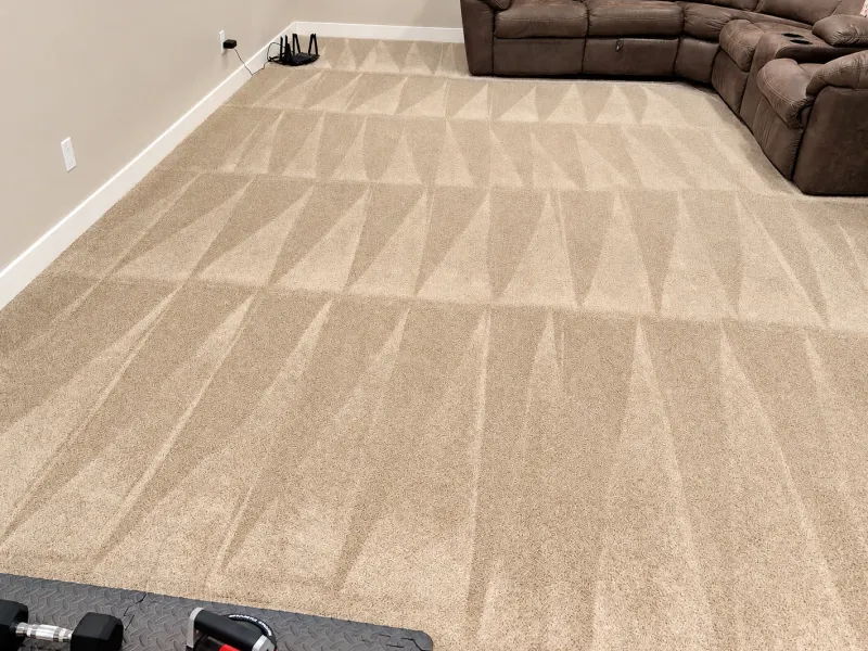 Freshly cleaned beige carpet with even cleaning lines in a basement family room